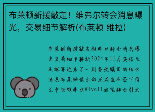布莱顿新援敲定！维弗尔转会消息曝光，交易细节解析(布莱顿 维拉)