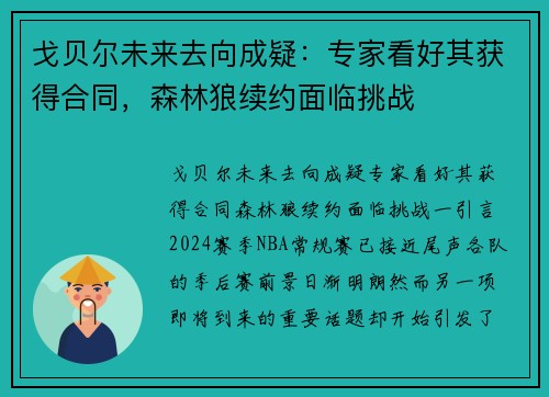 戈贝尔未来去向成疑：专家看好其获得合同，森林狼续约面临挑战